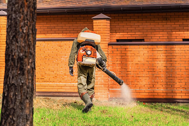 Trusted Termite Control service in Bridgeville, PA - Nex Pest Control